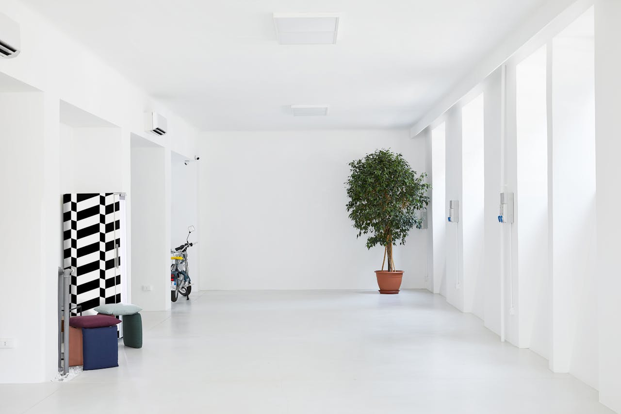 about-02 Bright minimalist interior featuring a potted tree and modern design elements.